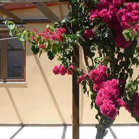 Sea Front Suites, Maisonettes & Apartments Villa Agia Marina (Crete)